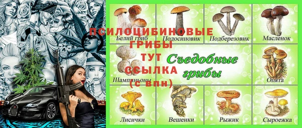 бошки Баксан
