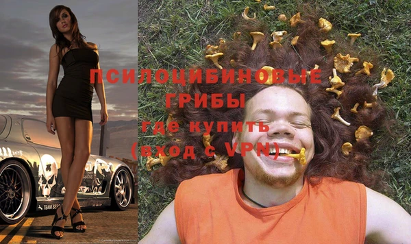 бошки Баксан
