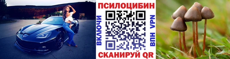 Галлюциногенные грибы прущие грибы  Билибино 